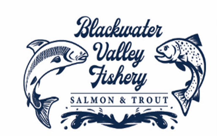 Blackwater Valley Fishery